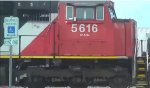 CN A431